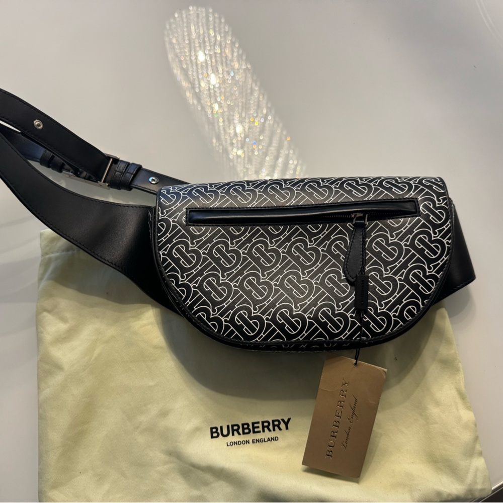 Burberry Belt Bag - Picture 2 of 7